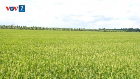 Khi phụ nữ nông thôn trở thành “người gác trời”