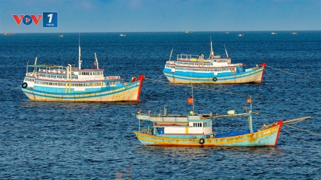 Siết chặt kỷ cương, tăng mức xử phạt trong lĩnh vực thủy sản (26/12/2025)