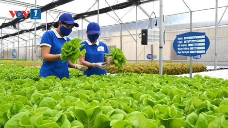 Quảng Ninh: Đẩy mạnh chuyển đổi số trong sản xuất nông nghiệp