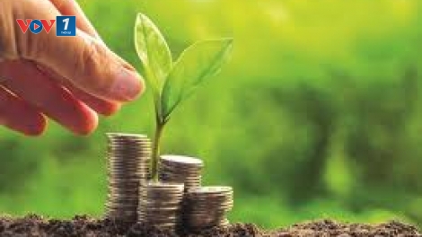 Doanh nghiệp nhỏ và vừa – khó khăn trong thực hiện chuyển đổi xanh