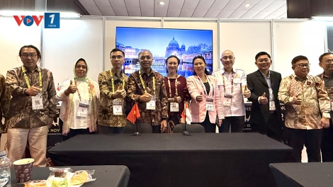 70 năm Việt Nam-Indonesia: Quan hệ đối tác chiến lược toàn diện thực chất và hiệu quả