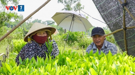 Hiệu quả chuyển đổi cơ cấu cây trồng, xóa đói giảm nghèo sau vận hành chính quyền địa phương 2 cấp