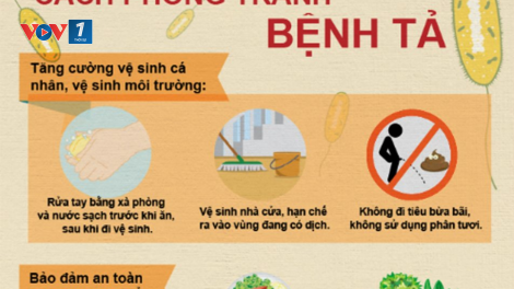 Phòng ngừa, điều trị bệnh tả ở người