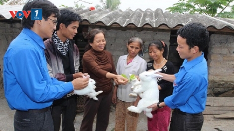 Chuyển đổi số trong giảm nghèo ở Ninh Bình