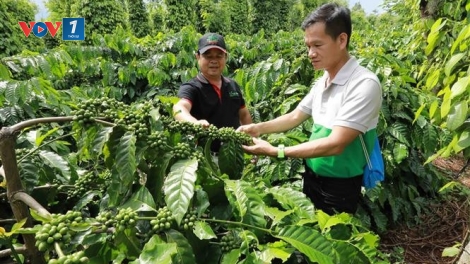 Công nghệ số tiếp sức giảm nghèo ở xã Đắk Phơi, Đắk Lắk