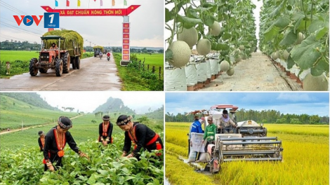Theo dòng thời sự sáng 5/12/2025