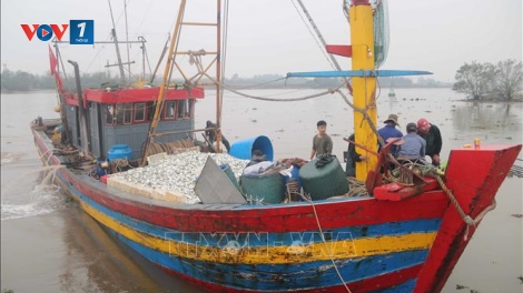 Hưng Yên: Kiên quyết không cho tàu cá không đủ điều kiện ra khơi (24/12/2025)