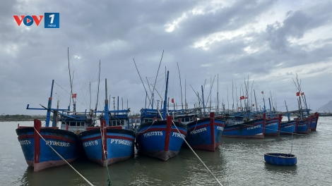 Bão tan, lũ rút, ngư dân Đắk Lắk ra khơi vụ cá Bắc