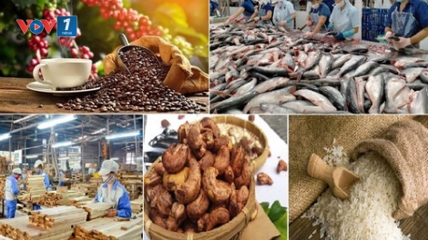 Xuất khẩu nông sản – khẳng định vai trò trụ cột trong bức tranh kinh tế (15/12/2025)