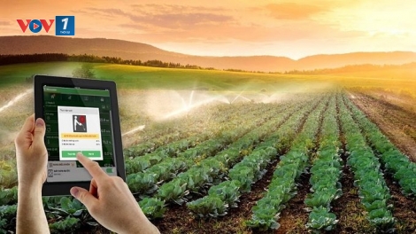 Đẩy mạnh chuyển đổi số trong các hợp tác xã tại tỉnh Lâm Đồng