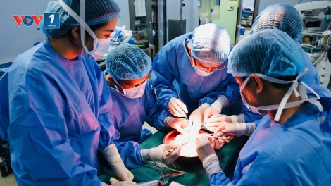 Những thành tựu mới trong lĩnh vực ghép tạng giúp hồi sinh nhiều cuộc đời