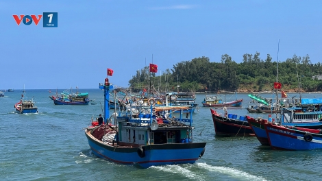 Bài 2: Từ “thẻ vàng” đến “cửa xanh”: kiến tạo nghề cá bền vững