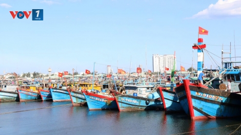 “Chống khai thác IUU - Từ “thẻ vàng” đến “cửa xanh”