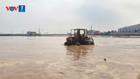 Ninh Bình dẫn đầu khu vực Trung du và Đồng bằng Bắc bộ về lấy nước đổ ải vụ Đông Xuân 2025–2026