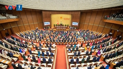 Theo dòng thời sự sáng 1/1/2026