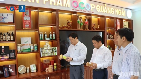 Quảng Ngãi: Liên kết sản xuất - tiêu thụ: Đòn bẩy nâng tầm sản phẩm OCOP (07/01/2026)