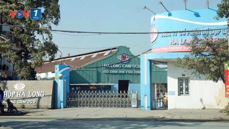 Bắt khẩn cấp Tổng Giám đốc Công ty Cổ phần Đồ hộp Hạ Long