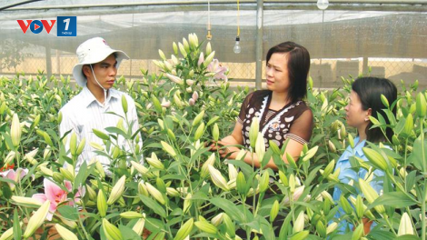 Nông dân Lạng Sơn thích ứng nhanh với công nghệ số