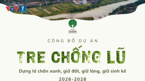 Xây dựng cộng đồng xanh từ những hành động nhỏ