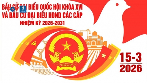Theo dòng thời sự chiều 29/1/2026
