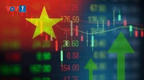 Triển khai các sản phẩm, dịch vụ mới trên thị trường vốn từ năm 2026