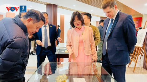 Bản tin 15h 28/1/2026