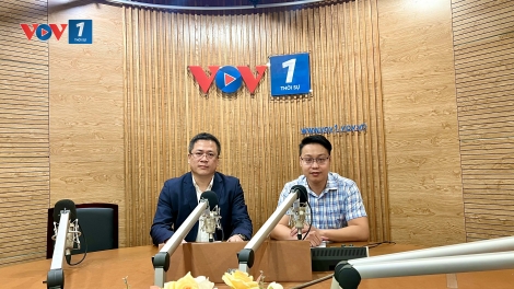 Cắt giảm sử dụng thuốc hóa học hướng đến sản xuất an toàn