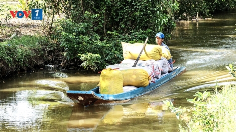 Theo dòng thời sự sáng 26/1/2026