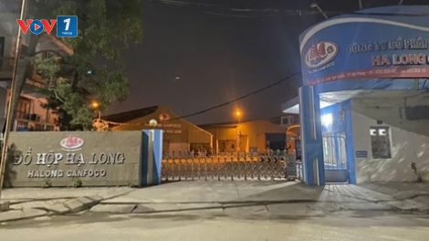 Khởi tố đường dây tiêu thụ thịt lợn nhiễm dịch tả châu Phi