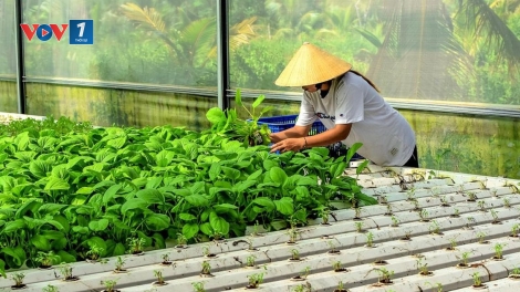 Bắc Ninh chuyển đổi số - tạo sinh kế, giảm nghèo bền vững