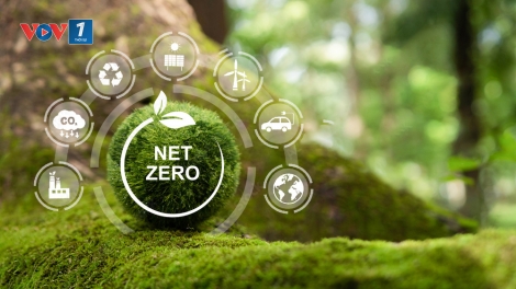 Doanh nghiệp Việt chuyển từ cam kết sang hành động thực hiện lộ trình Net Zero 2050