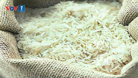 Vượt Trung Quốc, Ấn Độ trở thành nước sản xuất gạo lớn nhất thế giới