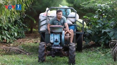 Cà phê - hạt gieo hạnh phúc