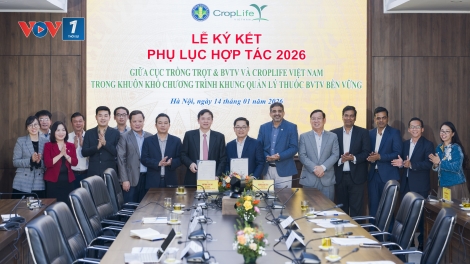 Tăng cường hợp tác thúc đẩy quản lý thuốc bảo vệ thực vật bền vững