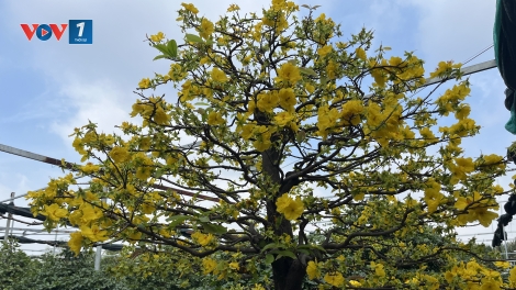 Theo dòng thời sự chiều 23/1/2026