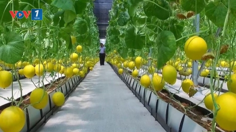Đưa khoa học kỹ thuật vào sản xuất giúp đồng bào thoát nghèo