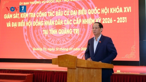 Giám sát, kiểm tra công tác bầu cử