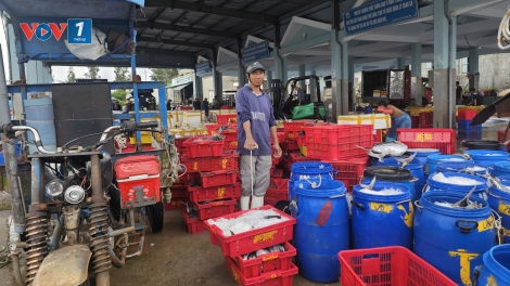 Theo dòng thời sự chiều 30/1/2026