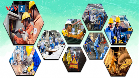Hướng dẫn mới nhất của Bộ Y tế về quản lý bệnh nghề nghiệp