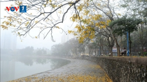 Thời tiết ngày 27/1: Bắc Bộ rét kèm mưa phùn, sương mù; Nam Bộ ngày nắng