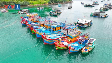 An Giang: nông nghiệp "số"- bệ đỡ cho nền kinh tế địa phương