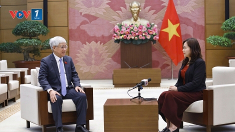 Pháp luật phải đi trước một bước, trở thành nền tảng ổn định, lâu dài cho phát triển