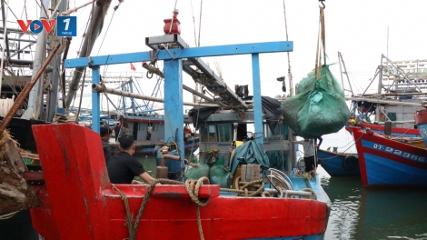 Từ nghị quyết đến ngư trường: Rộn ràng phiên biển cuối năm ở Cửa Việt, Quảng Trị