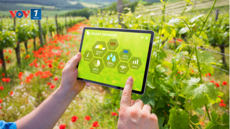 Chuyển đổi xanh trong nông nghiệp: từ chủ trương của Đảng đến bài toán thực thi