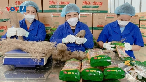 Theo dòng thời sự sáng 4/1/2026