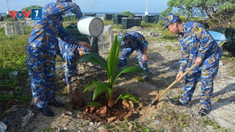 Vùng 4 Hải quân tổng kết nhiệm vụ “Xanh hóa Trường Sa” năm 2025