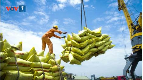 Thời sự 6h 12/1/2026: Việt Nam xuất khẩu hơn 8 triệu tấn gạo trong năm 2025