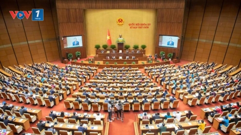Dấu ấn công tác xây dựng pháp luật năm 2025