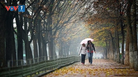 Thời tiết ngày 13/1/2026: Bắc Bộ và nhiều khu vực vẫn chìm trong giá rét
