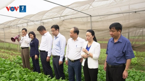 Hỗ trợ nông dân, hợp tác xã sản xuất nông sản sạch